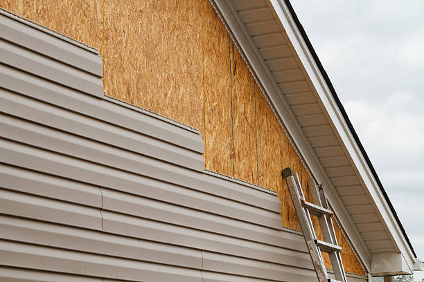 Professional Siding Installation technician working in Paris, TN